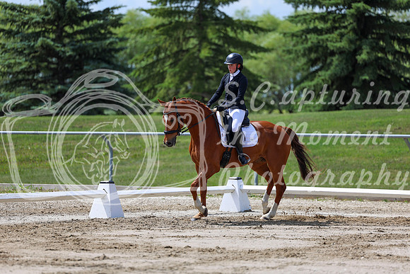 2025 - Dressage Festival - Saturday July 5th - 07995