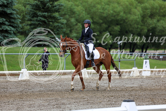 2025 - Dressage Festival - Sunday July 6th - 12262