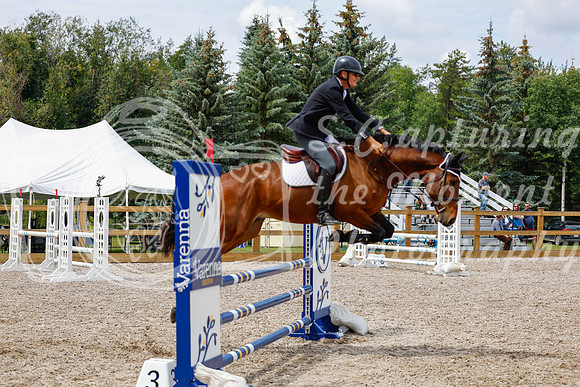 2025 - Haylee - Picco Horse Show - Saturday July 26th 06028