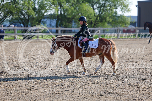 2025 - Dressage Festival - Saturday July 5th - 00030