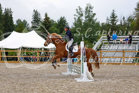 2025 - Haylee - Picco Horse Show - Sunday July 27th 00779