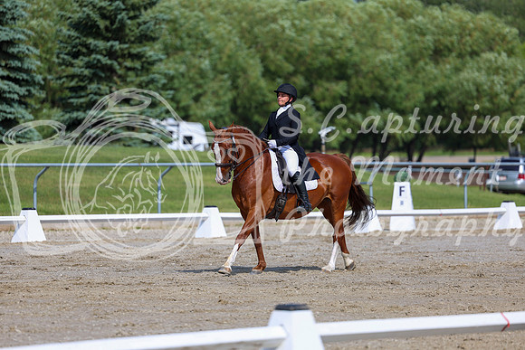 2025 - Dressage Festival - Saturday July 5th - 02604