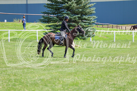 2025 - Shea - Teesdale - Thursday July 24th - 00901