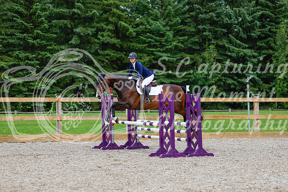 2025 - Haylee - Picco Horse Show - Sunday July 27th 03786