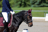 2025 - Dressage Festival - Saturday July 5th - 00660