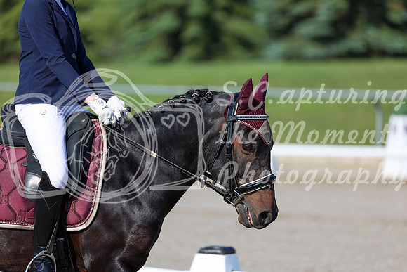 2025 - Dressage Festival - Saturday July 5th - 00660
