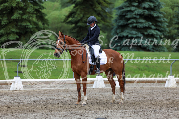 2025 - Dressage Festival - Sunday July 6th - 12276