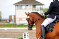 2025 - Dressage Festival - Sunday July 6th - 11694
