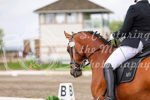 2025 - Dressage Festival - Sunday July 6th - 11694