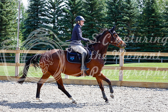 2025 - Haylee - Picco Horse Show - Thursday July 24th 02287