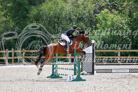 2025 - Haylee - Picco Horse Show - Sunday July 27th 03938