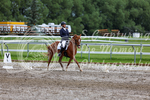 2025 - Dressage Festival - Sunday July 6th - 12308