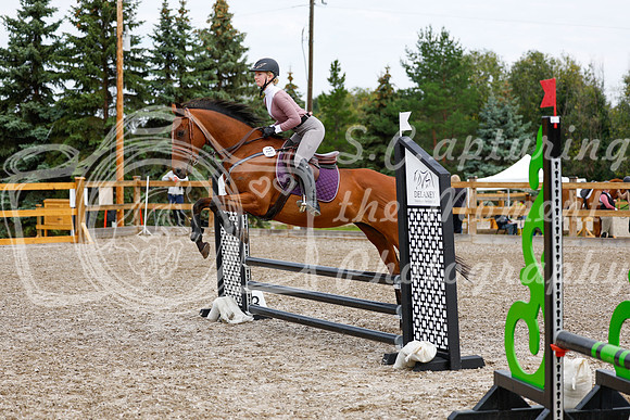 2025 - Haylee - Picco Horse Show - Saturday July 26th 01687