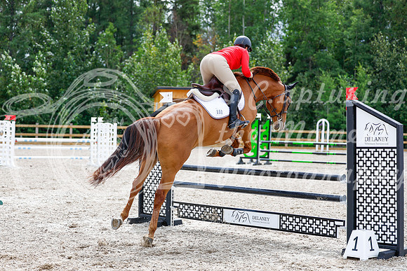2025 - Haylee - Picco Horse Show - Friay July 25th 03290
