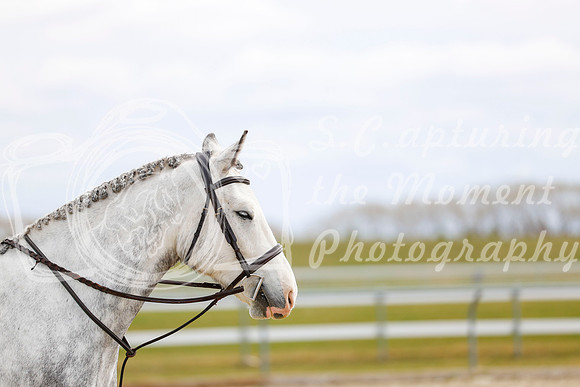 2025 - Haylee - Spring Welcome - Sunday April 27th - 03377