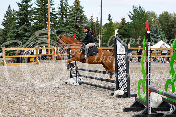 2025 - Haylee - Picco Horse Show - Saturday July 26th 02331