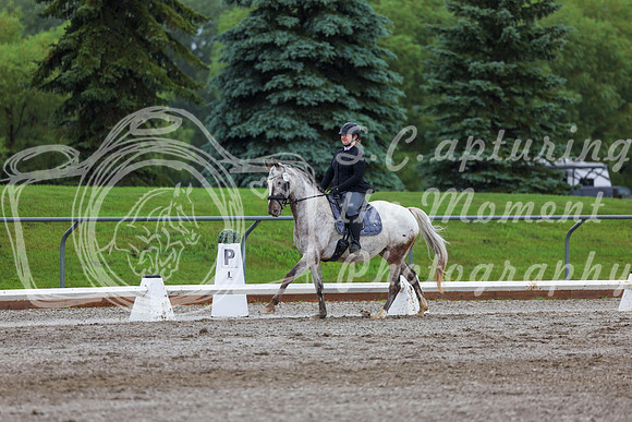 2025 - Dressage Festival - Sunday July 6th - 02162