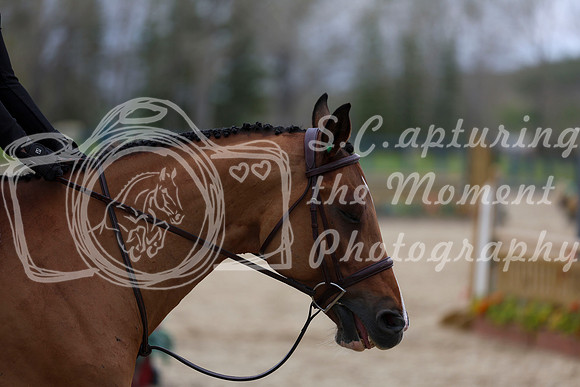 2025 - Shea - Bow Valley II - Friday May 16th - 08587