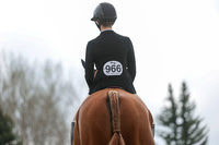 966
