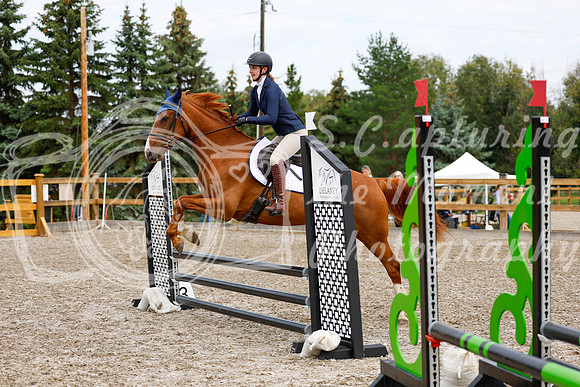 2025 - Haylee - Picco Horse Show - Saturday July 26th 01754
