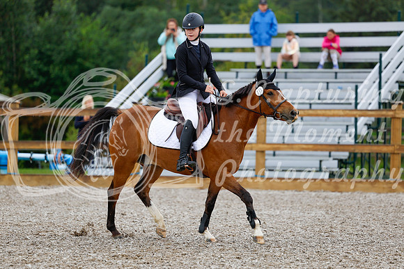 2025 - Haylee - Picco Horse Show - Sunday July 27th 00496