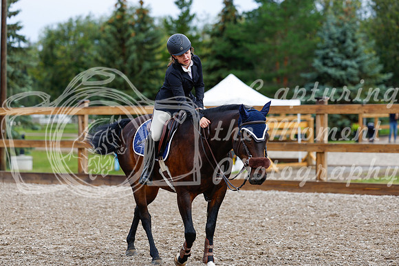 2025 - Haylee - Picco Horse Show - Friay July 25th 00463