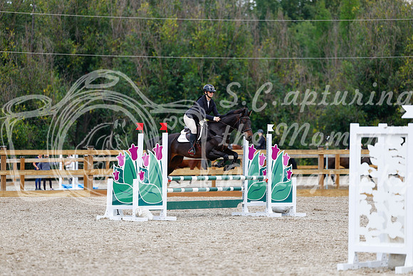 2025 - Haylee - Picco Horse Show - Saturday July 26th 05688