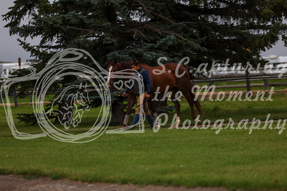 2025 - Shea - Mid Summer Classic II - Thursday July 17th - 00001