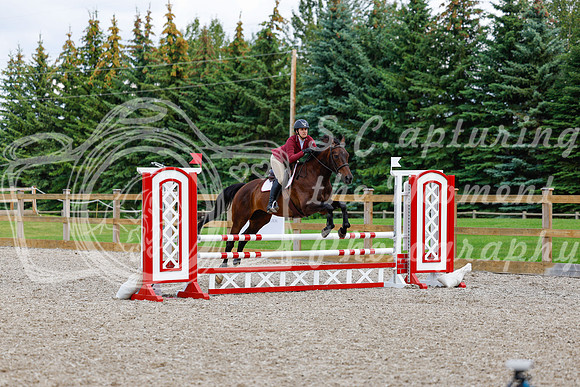 2025 - Haylee - Picco Horse Show - Saturday July 26th 06631