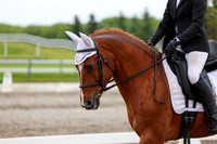 2025 - Dressage Festival - Sunday July 6th - 06084