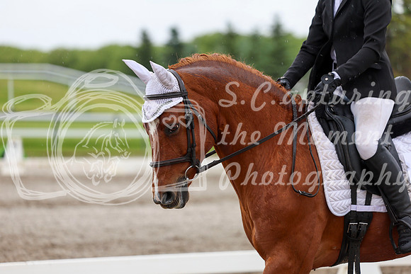 2025 - Dressage Festival - Sunday July 6th - 06084