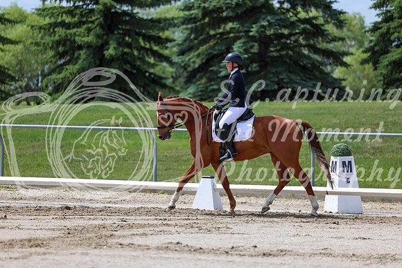2025 - Dressage Festival - Saturday July 5th - 07990