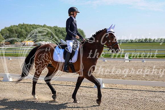 2025 - Dressage Festival - Saturday July 5th - 03915