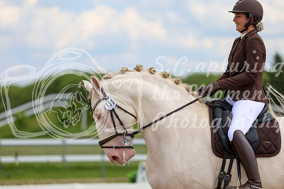 2025 - Dressage Festival - Saturday July 5th - 12150