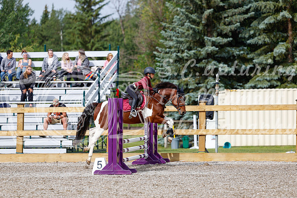 2025 - Haylee - Picco Horse Show - Friay July 25th 00870