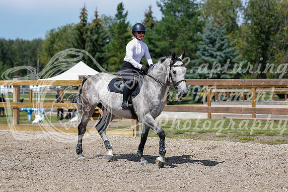 2025 - Haylee - Picco Horse Show - Thursday July 24th 03390