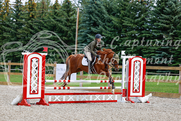 2025 - Haylee - Picco Horse Show - Saturday July 26th 06096
