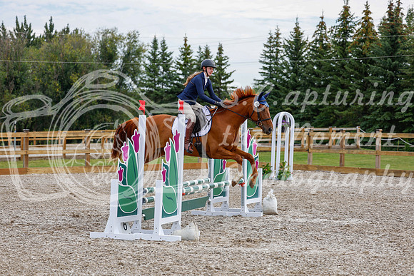 2025 - Haylee - Picco Horse Show - Saturday July 26th 01772