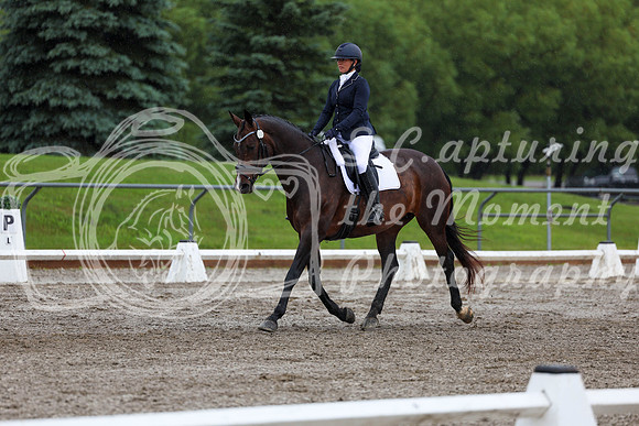 2025 - Dressage Festival - Sunday July 6th - 05656