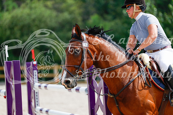 2025 - Haylee - Picco Horse Show - Saturday July 26th 08216