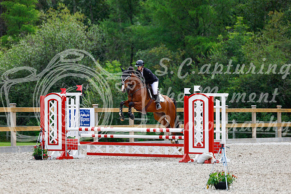 2025 - Haylee - Picco Horse Show - Sunday July 27th 03881