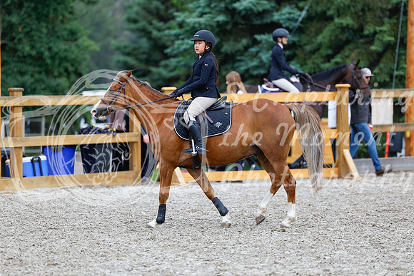 2025 - Haylee - Picco Horse Show - Saturday July 26th 02398