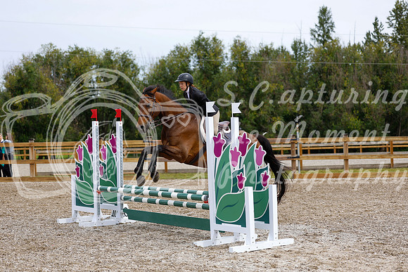 2025 - Haylee - Picco Horse Show - Friay July 25th 01389