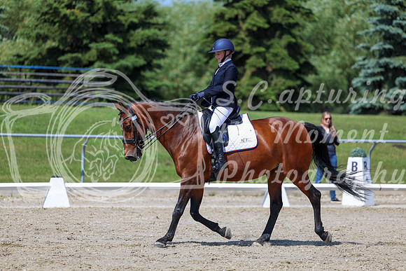 2025 - Dressage Festival - Saturday July 5th - 05663