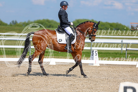 2025 - Dressage Festival - Saturday July 5th - 15530