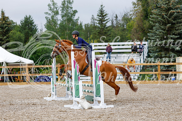 2025 - Haylee - Picco Horse Show - Sunday July 27th 01243