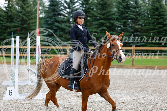 2025 - Haylee - Picco Horse Show - Saturday July 26th 02317