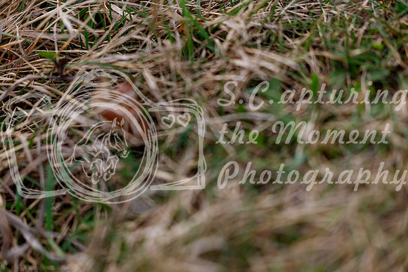 2025 - Haylee - Spring Welcome - Sunday April 27th - 03211
