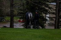 2025 - Shea - Bow Valley II - Thursday May 15th - 00011