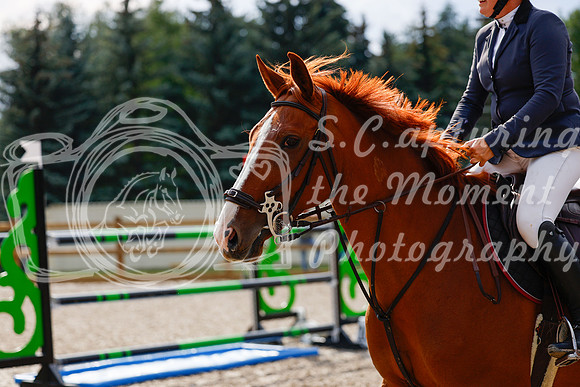 2025 - Haylee - Picco Horse Show - Saturday July 26th 08584